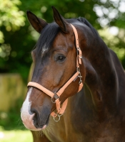 Waldhausen Athletic Halster