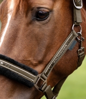 Waldhausen Halster Elegant