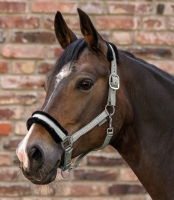 Waldhausen Halster Elegant