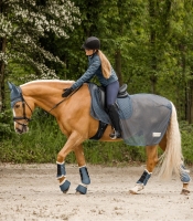 Waldhausen Pegasus Springschoenen