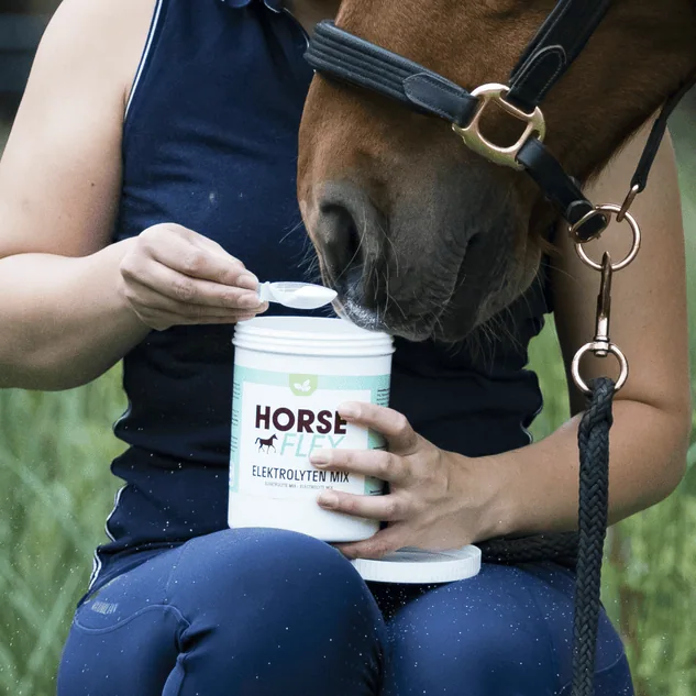 Horseflex Elektrolyten mix 500 gram