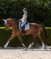 Waldhausen Zadeldek Rimini