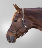 Waldhausen X-line Leren Halster Nevada