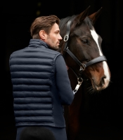 ELT Softshell-Mix Bodywarmer Maine, Heren