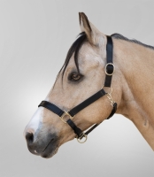 Waldhausen Leren Halster Robust