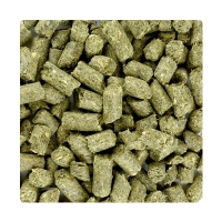 Florian Friesian Impact