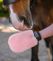 Waldhausen Lucky Lamswol Poetshandschoen