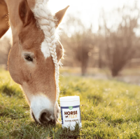 Horseflex Glucose Support 600 gr