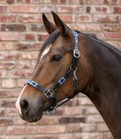 Waldhausen X-line Leren Halster Polo