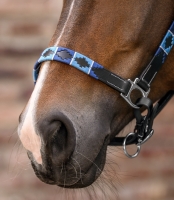 Waldhausen X-line Leren Halster Polo